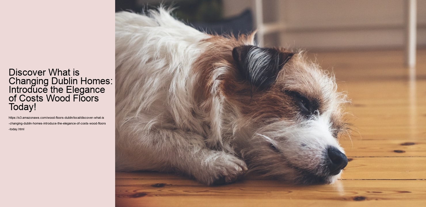 Discover What is Changing Dublin Homes: Introduce the Elegance of Costs Wood Floors Today!